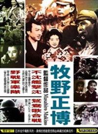 在线视频野战av播放,揭秘野战AV的神秘世界