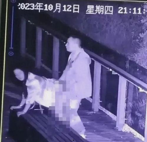 男女做a 在线视频,性别差异下的A类在线视频解析