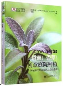 香草精品最新在线视频,揭秘最新在线视频中的时尚潮流与生活美学
