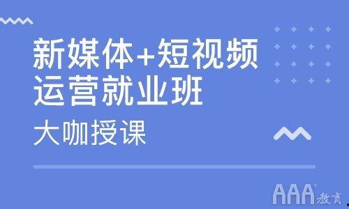 在线视频推广平台,在线视频推广平台的崛起之路