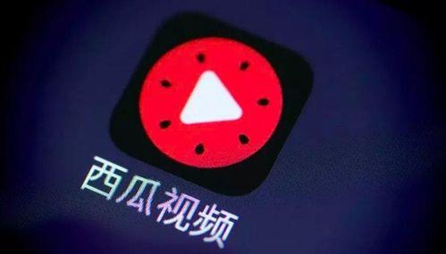 西瓜文化在线视频